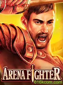 ArenaFighter